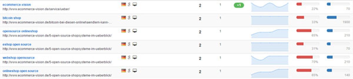 Das Ranking Tool überprüft die Keywords auf ihre Positionen bei Google