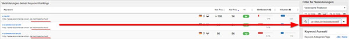 URL Rankings Analyse