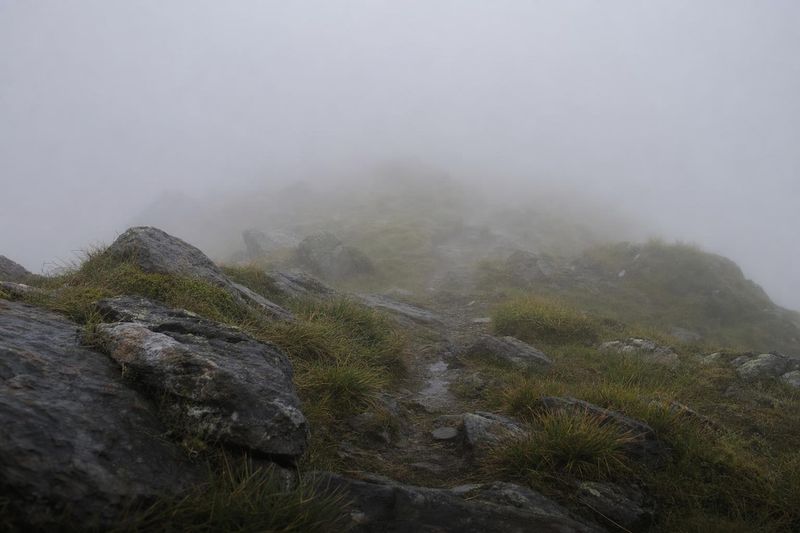 Orientierung verloren im Nebel: warum Weitergehen fast immer falsch ist