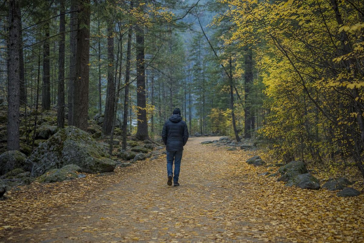 Person geht am Tag nach der Tour locker durch einen herbstlichen Wald