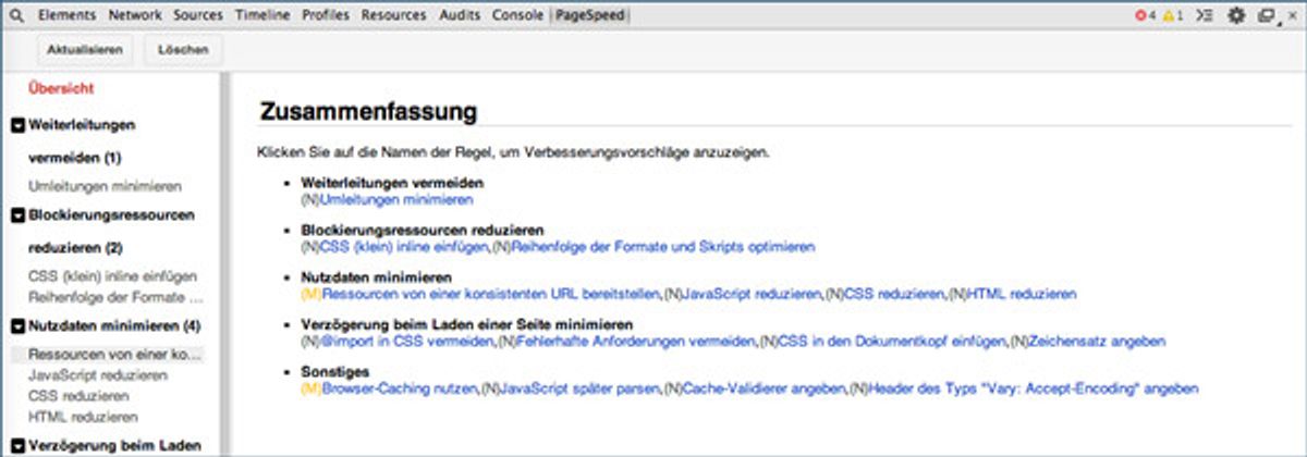 Das Pagespeed Plugin zeigt Schwächen, die zu verlängerten Ladezeiten führen