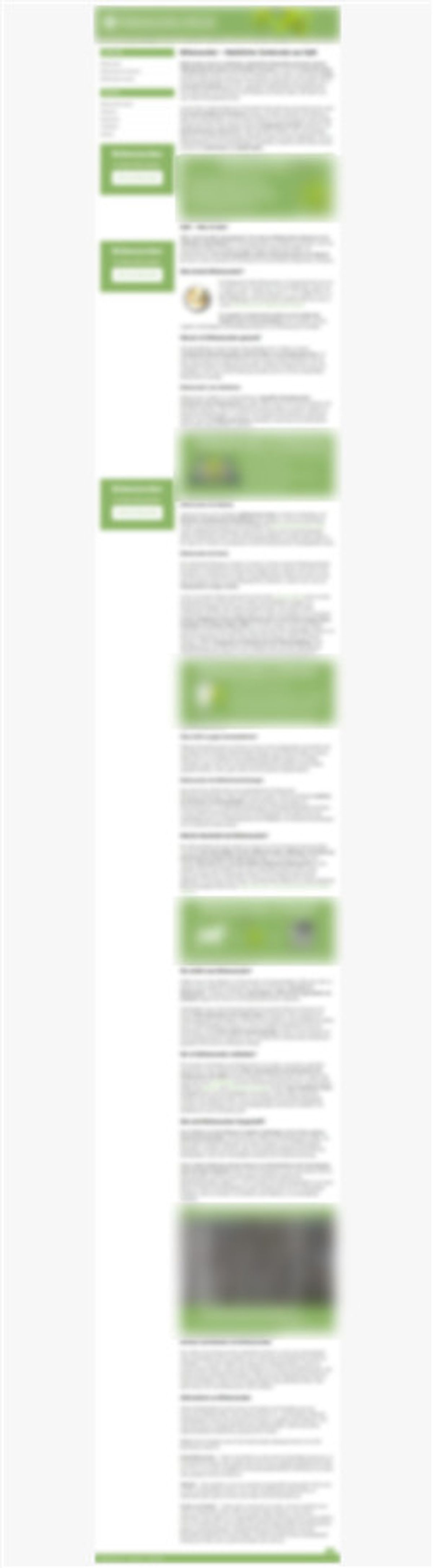 SEO Projekt Screenshot