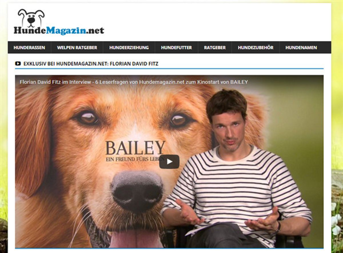 hunde blog