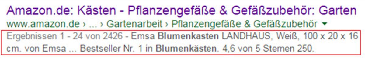 Gesetzte Meta-Description durch Google