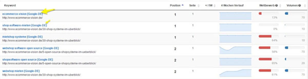 Übersicht im Keyword-Monitoring