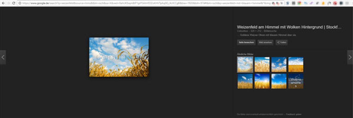 Neue Google Bildersuche führt zu Traffic Verlusten bei Webseitenbetreibern. Screenshot: Google, Abgebildetes Foto von Colourbox
